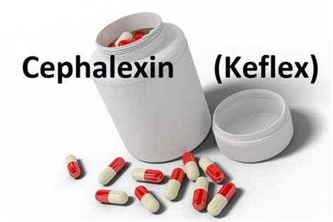 kefix o|Keflex Uses, Dosage & Side Effects